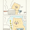 ネコノヒー「応急処置」
