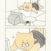 ミッションニャンポッシブル