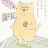 今日のネコノヒー