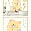 ネコノヒー「カップ焼きそば」/instant yakisoba 