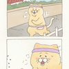 ネコノヒー「ジョギング悲劇」