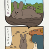 スキウサギ「泥」