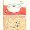 ネコノヒー「杏仁豆腐」/Almond Jelly