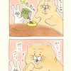 ネコノヒー「ダイエットフード作戦」/Cat diet food