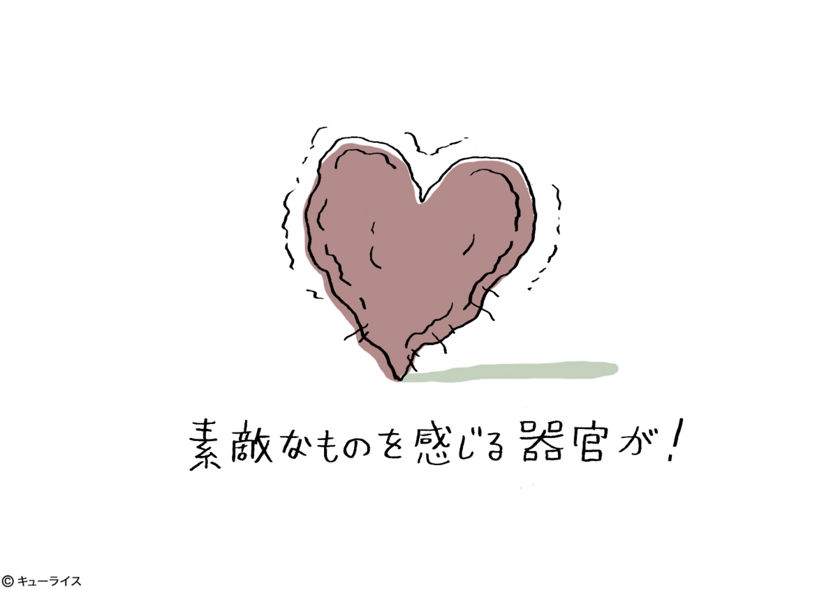 f:id:q-rais:20170304222328j:plain