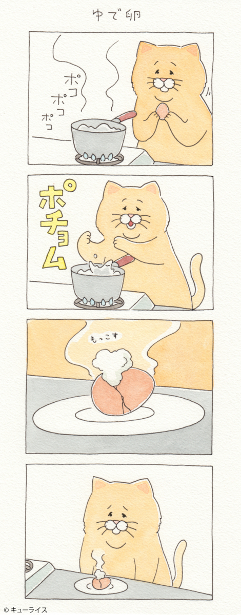 f:id:q-rais:20180706114142j:plain
