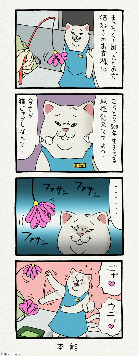 f:id:q-rais:20190329163828j:plain